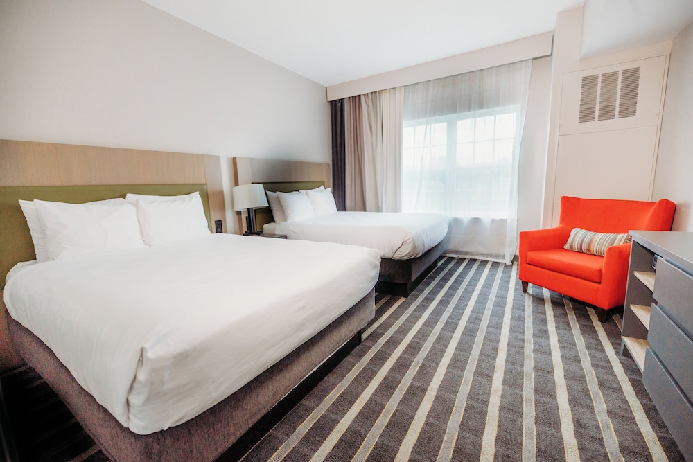 1 Bedroom, Suite, 2 Queen Beds, Sofa