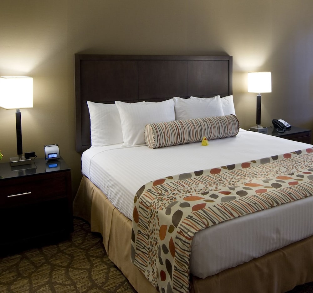 Airtel Plaza Hotel and Conference Center 15/62