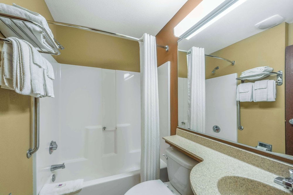 Microtel Inn And Suites Breaux Bridge 37/49
