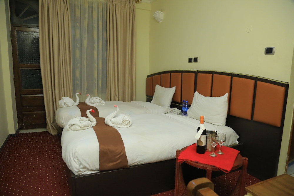 Dib Anbessa Hotel 14/39