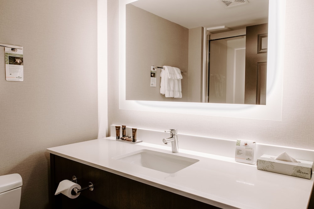 Wingate by Wyndham Chantilly / Dulles Airport 46/48