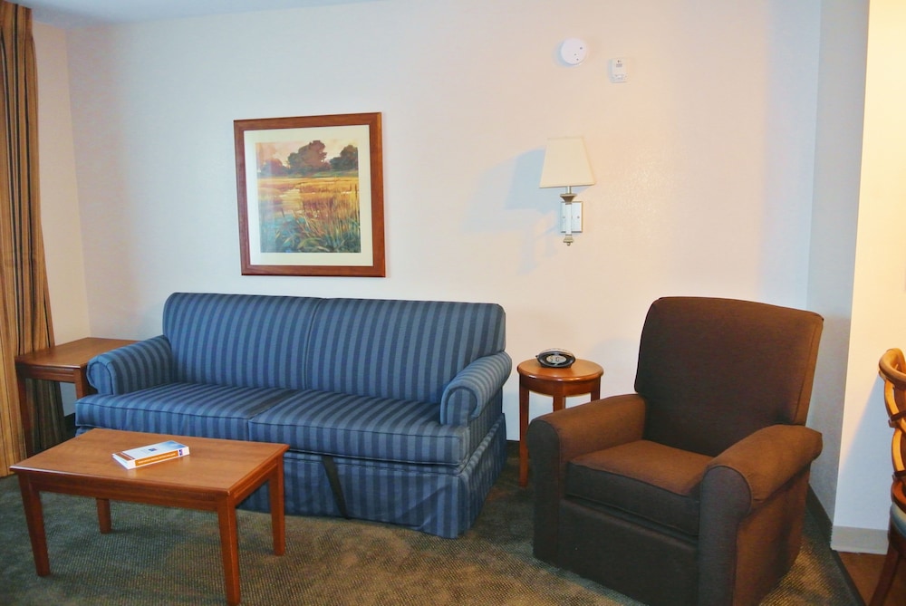 TownePlace Suites by Marriott Birmingham South 23/44