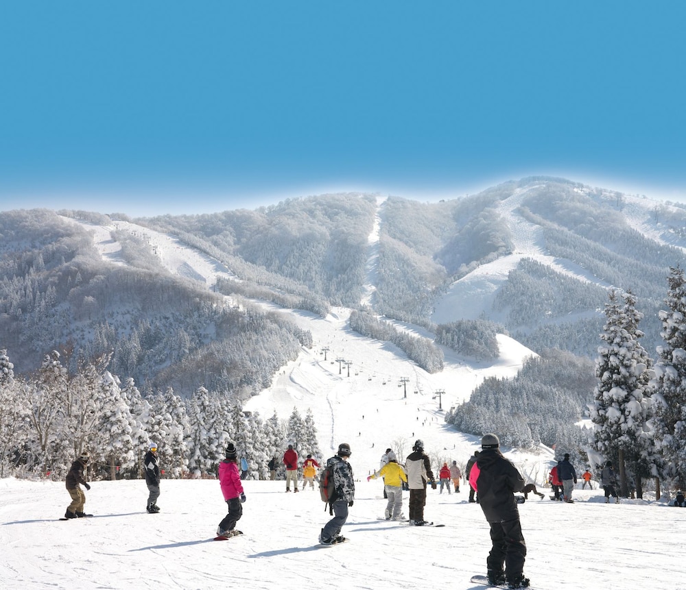 HOTEL HARVEST SKI JAM KATSUYAMA 44/72