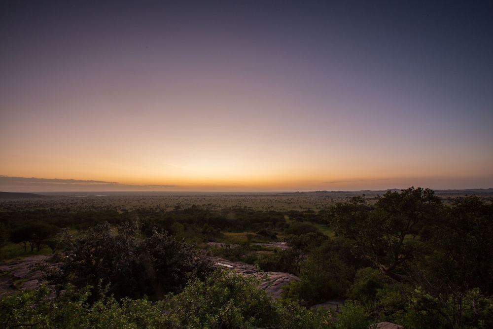 Serengeti Pioneer Camp 12/29