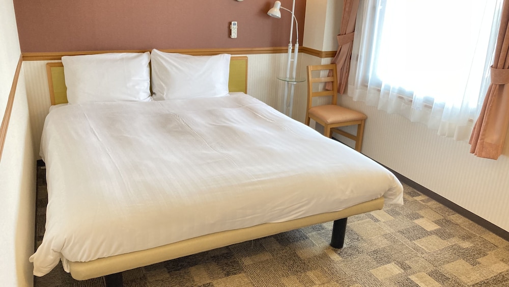 Toyoko inn tokuyama-eki shinkansen-guchi 15/60