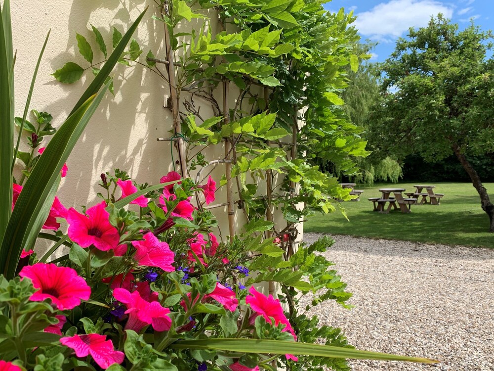 Hope Orchard Bed & Breakfast 31/46