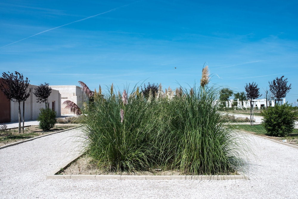 Masseria Fontana Di Vite 56/63