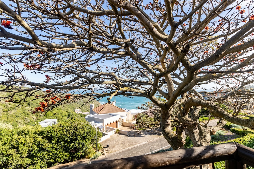 Dutton's Cove Guesthouse 35/50