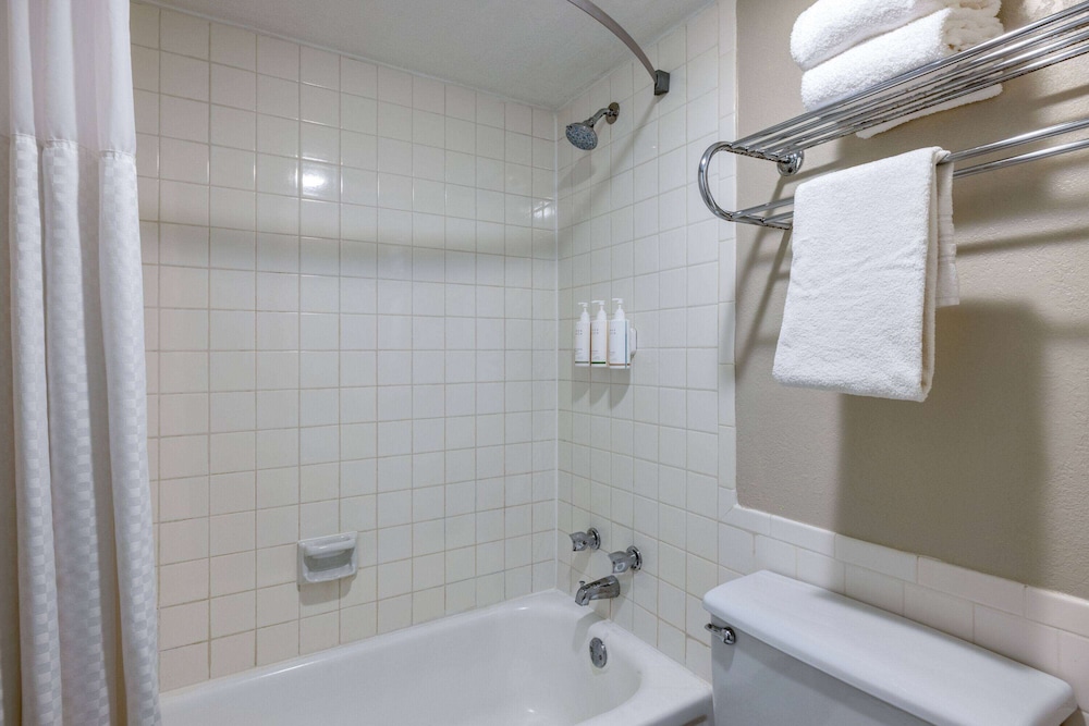 Room, Queen Bed, Pet Friendly, Days Inn By Wyndham Casper 5/5