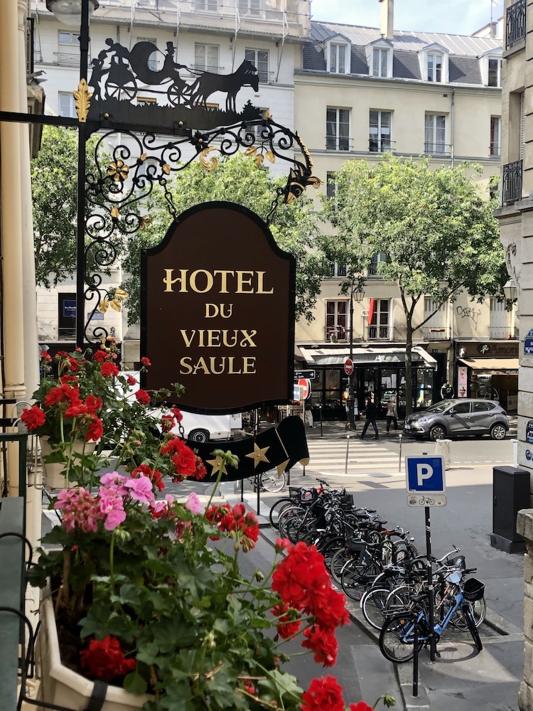 Hotel Du Vieux Saule