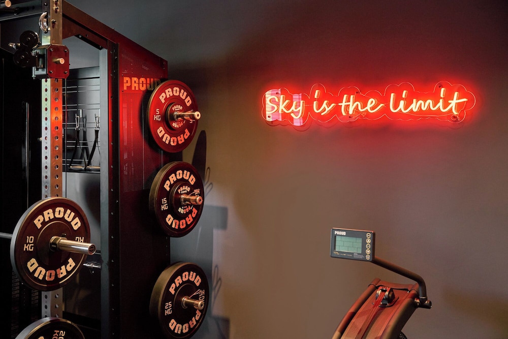 ibis Styles Katowice Airport 5/37