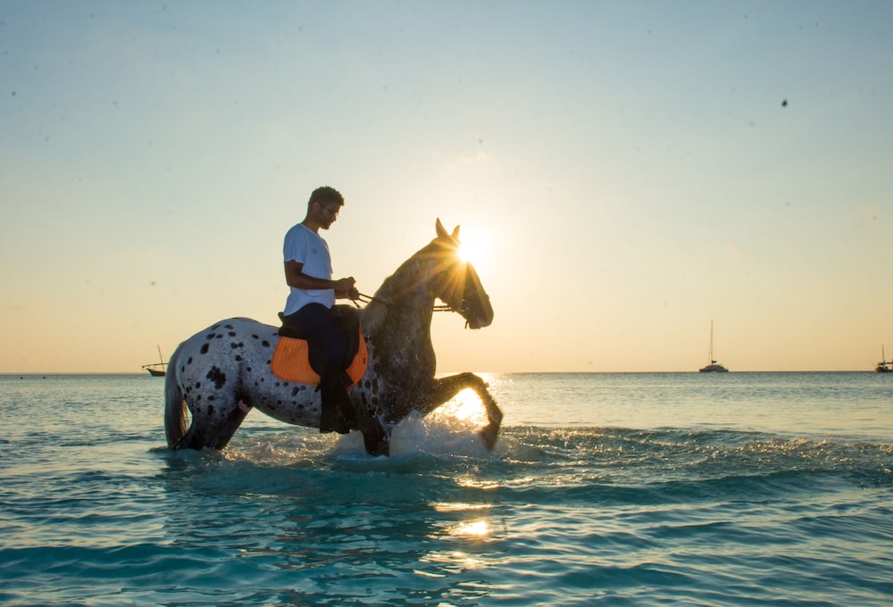 Z Hotel & Z2 Hotel 71/74