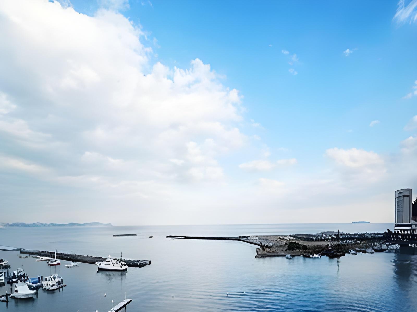 ATAMI TAMANOYU HOTEL 38/44