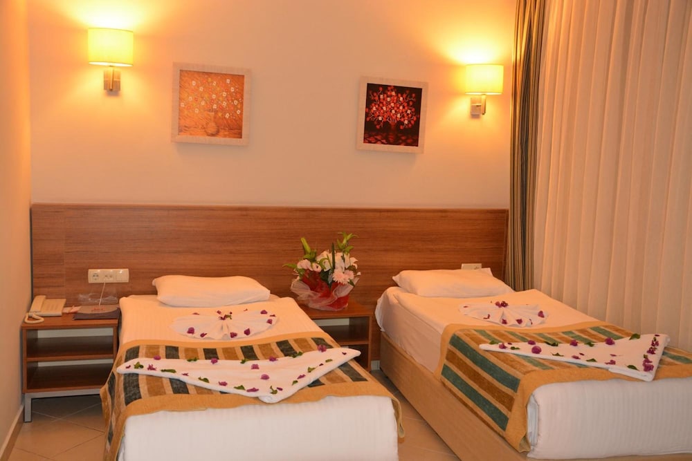 Viking Express Hotel 38/50