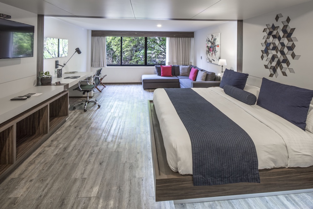 Flowsuites Condesa - Adults Only 26/58