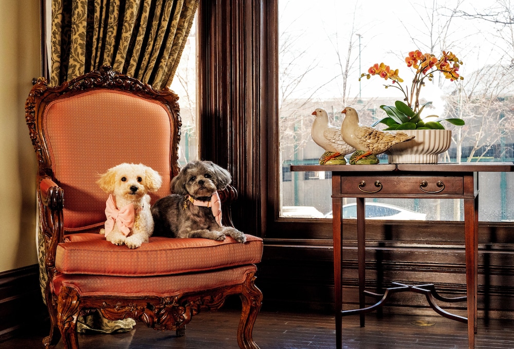 The Wheeler Mansion 5/49