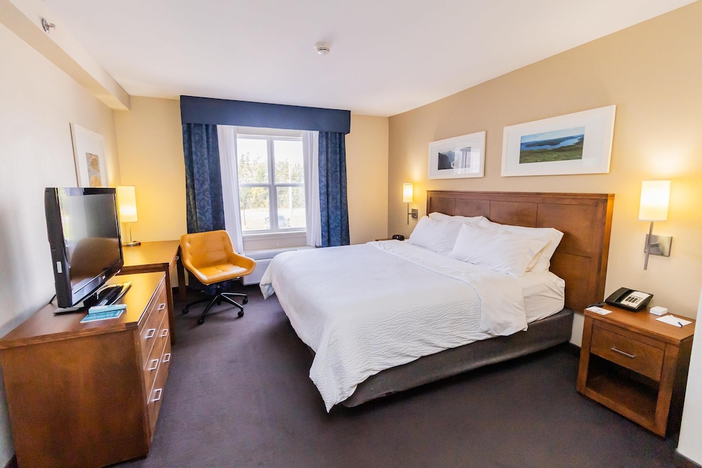 Deer Lake Horizon Hotel, BW Signature Collection 14/58