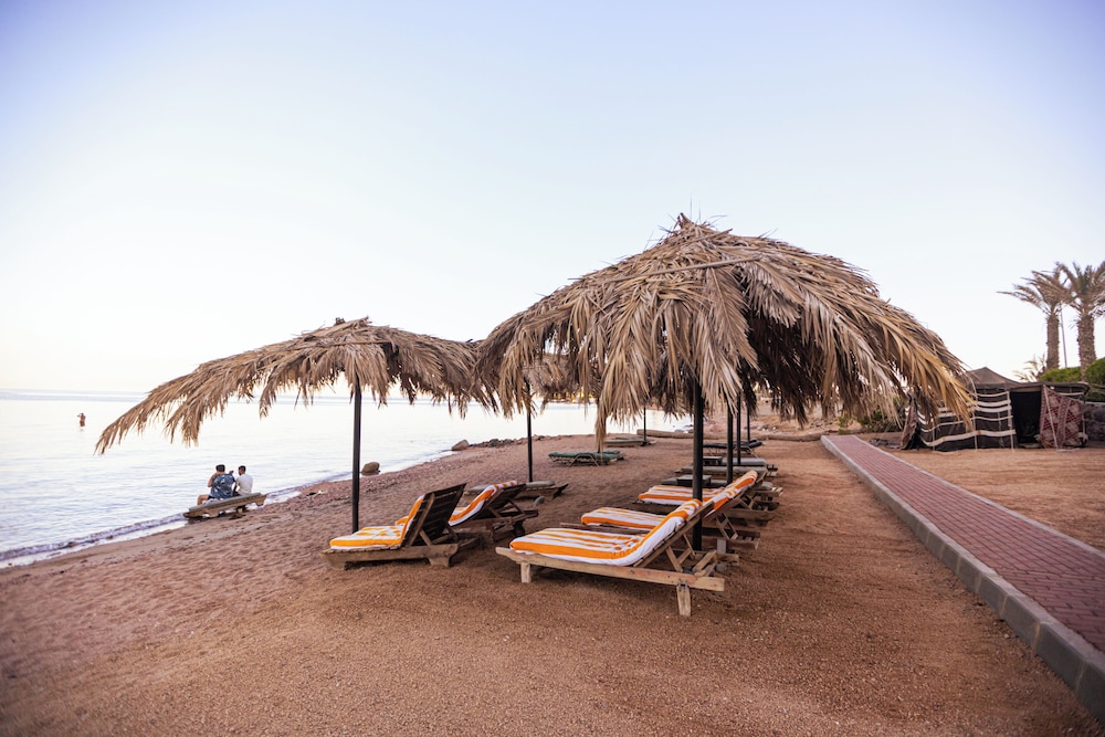 Bedouin Moon Hotel 25/50