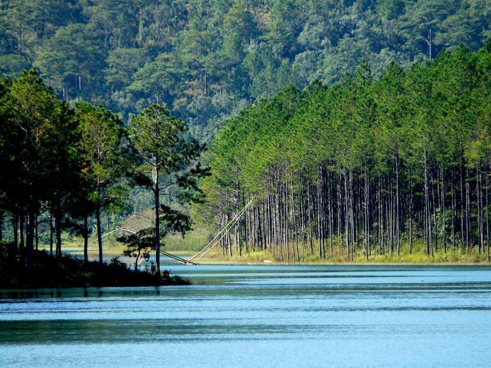 Romeo Juliet Dalat Resort 46/50