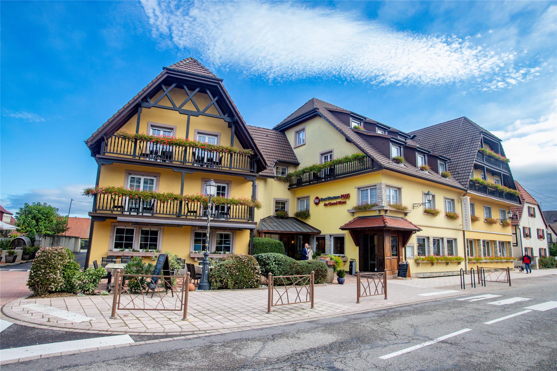 Best Western Plus Au Cheval Blanc Mulhouse Nord 2/68