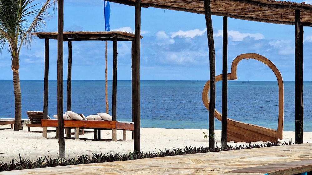 Dream of Zanzibar 23/50