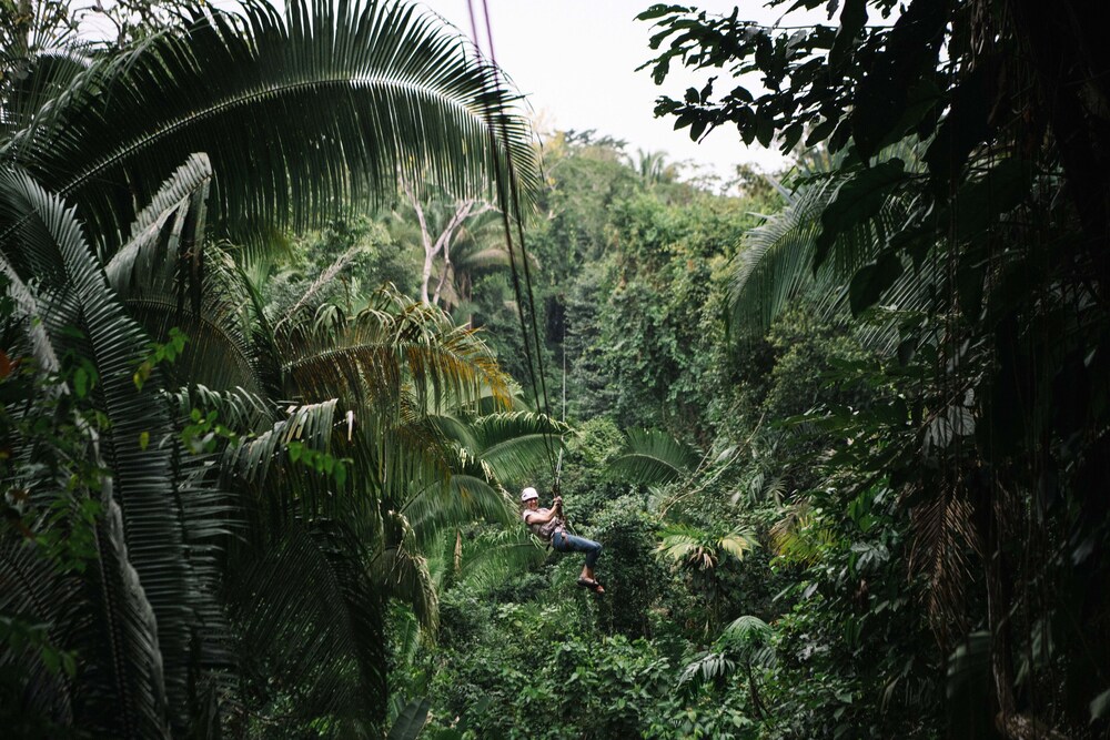 Bocawina Rainforest Resort Adventures 36/50