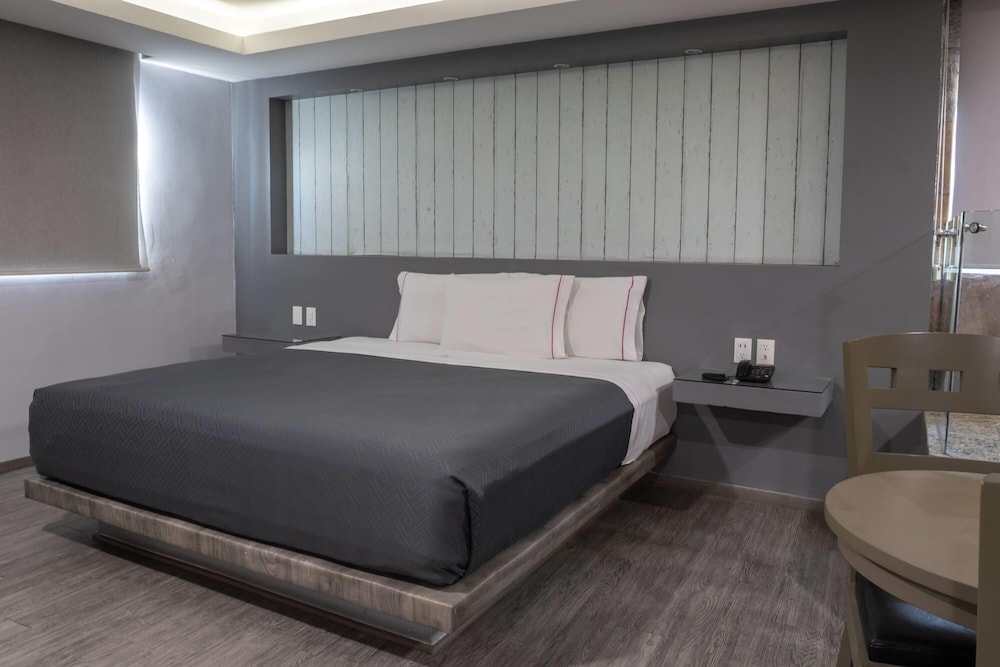 Hotel MX congreso CDMX, Trademark Collection by Wyndham 13/48