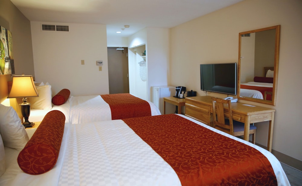 Auberge Du Grand Lac 14/50