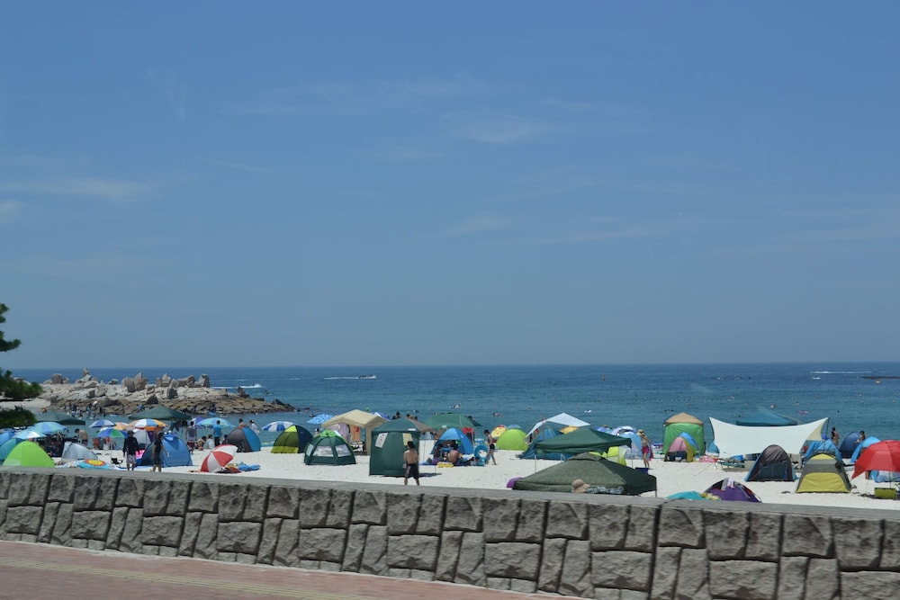 Grampus Sea 33/34