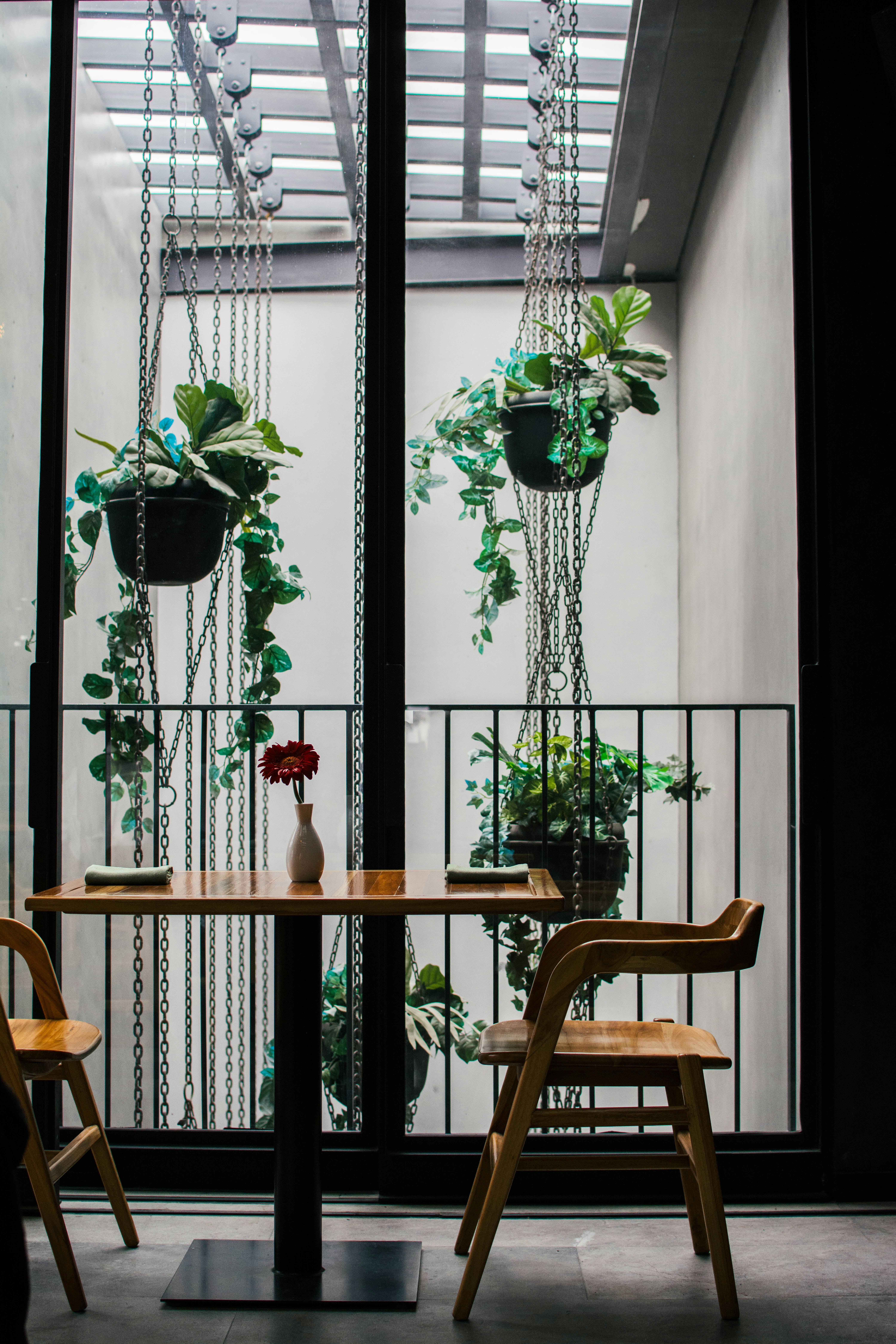 Umbral, Curio Collection by Hilton 24/48