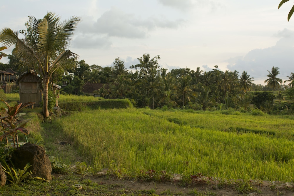 Mesari Hotel Ubud 81/88