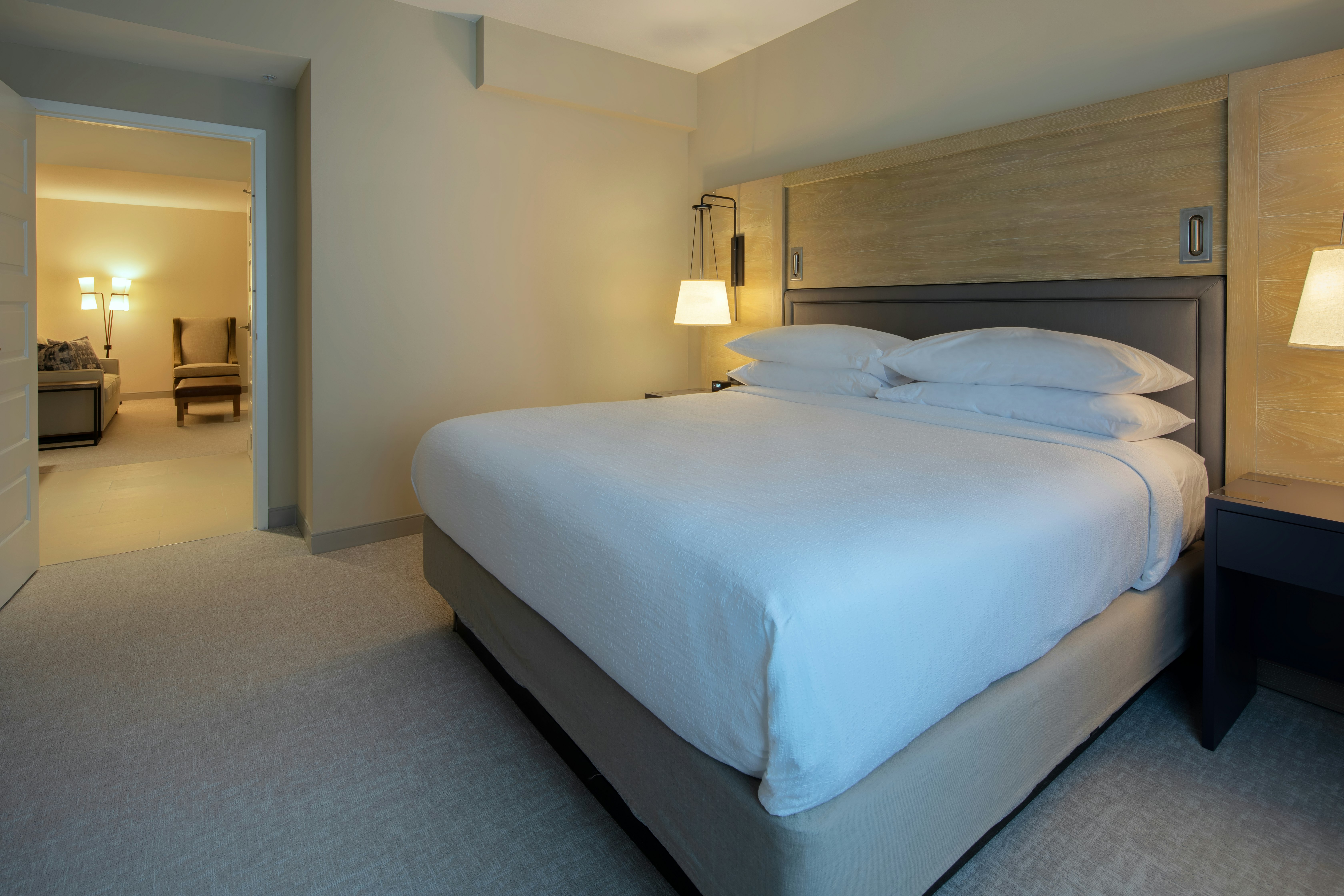 SUITE, KING BED, ACCESSIBLE