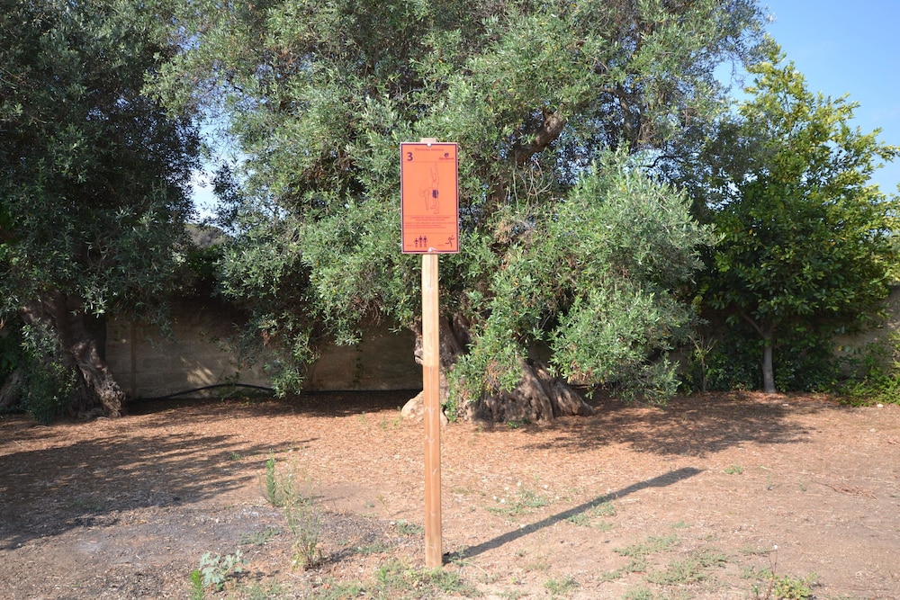 Tenuta La Baronessa 54/64