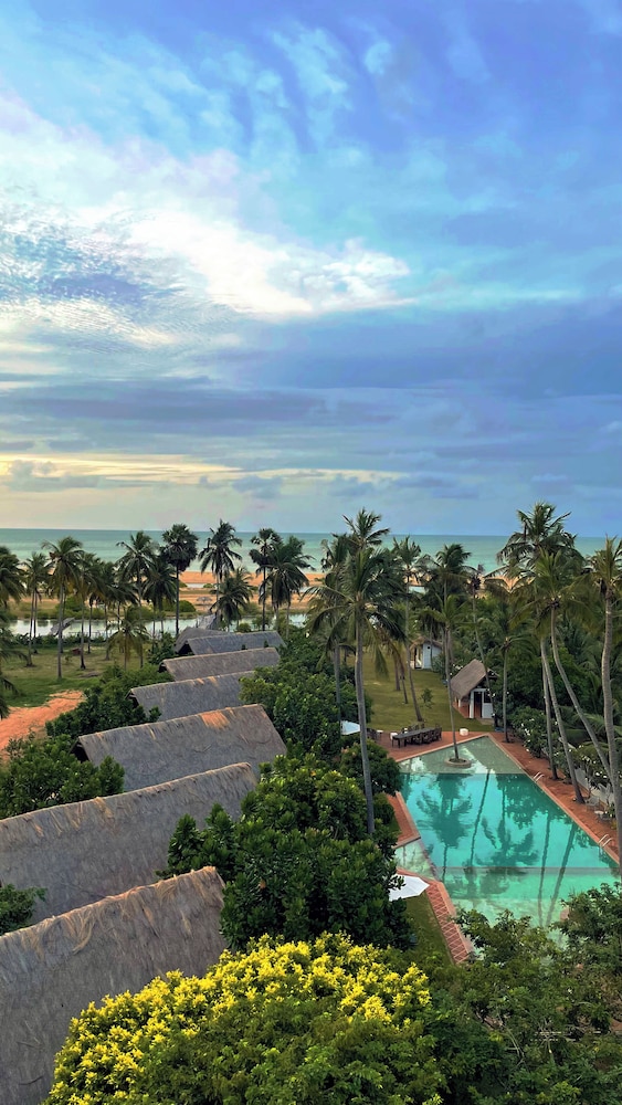 Blue Whale Beach Boutique Resort 24/29