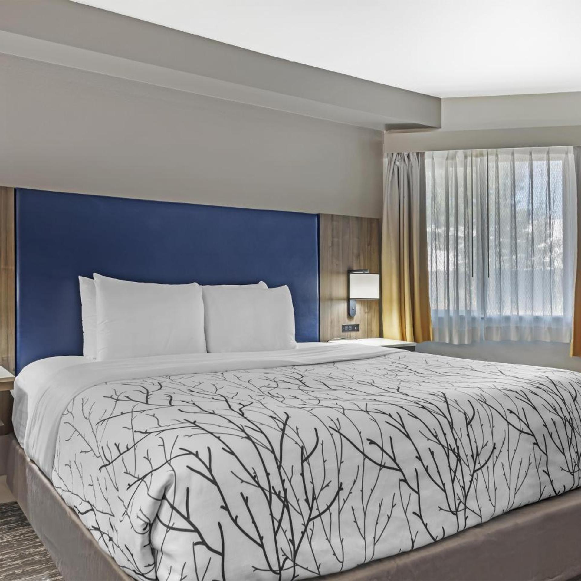 Executive Residency by Best Western Denver East 33/67