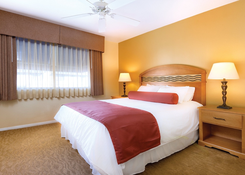 Club Wyndham Dolphin's Cove 11/40