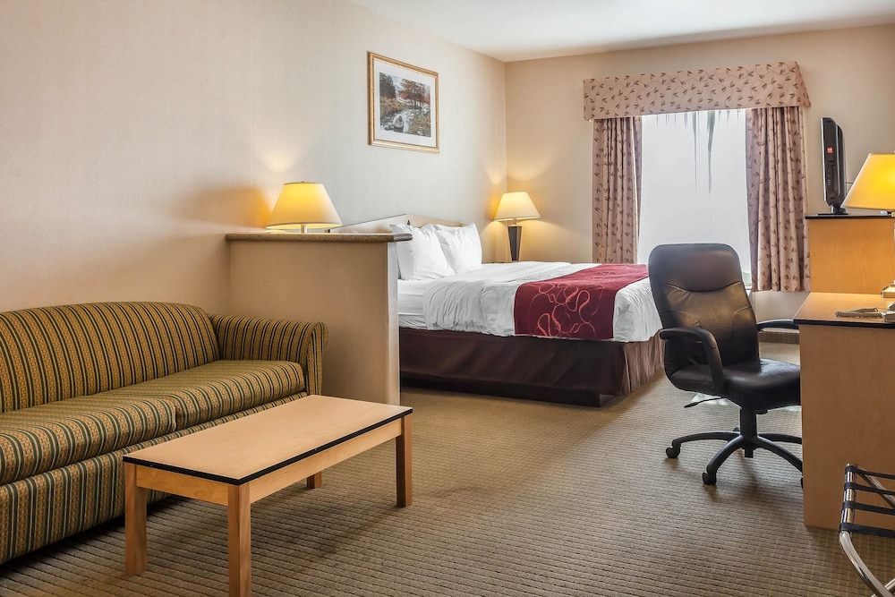 Comfort Inn & Suites Airport Convention Center 20/43