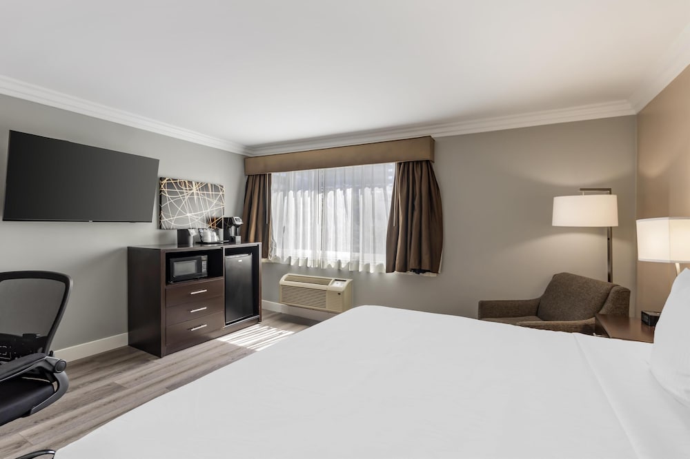 Standard, King Bed