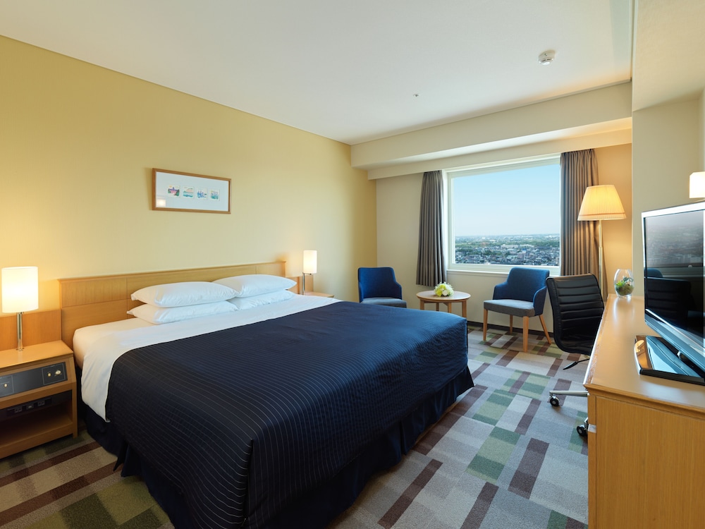 Hotel Emisia Sapporo 22/65