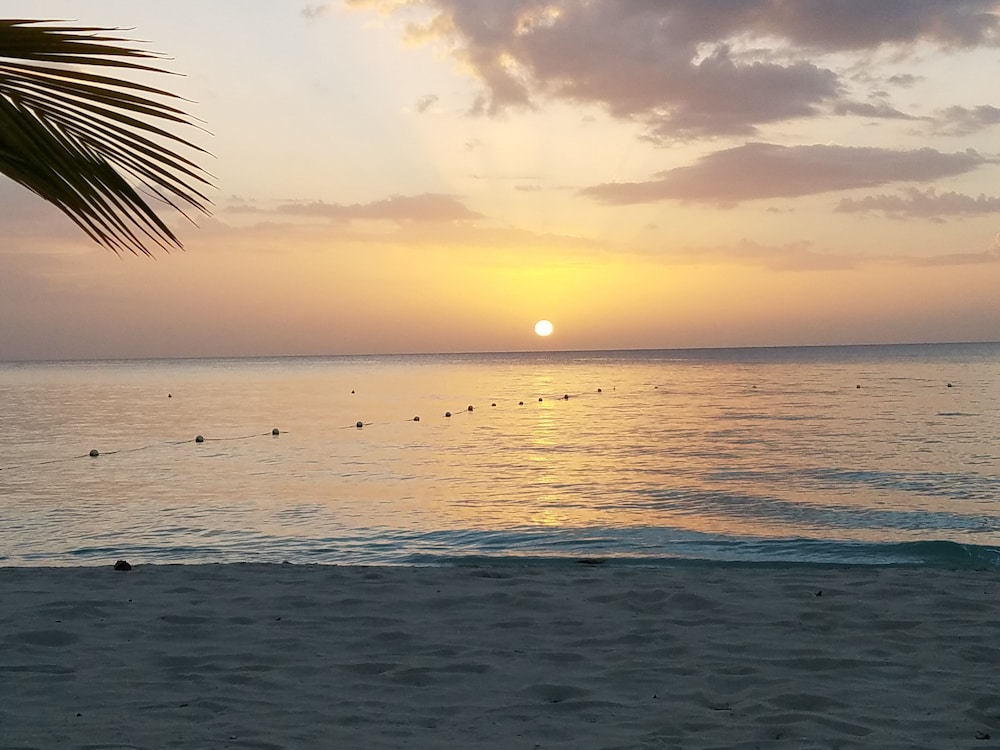 White Sands Negril 43/54
