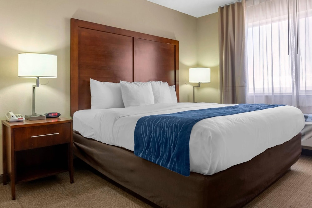 SUITE, KING BED