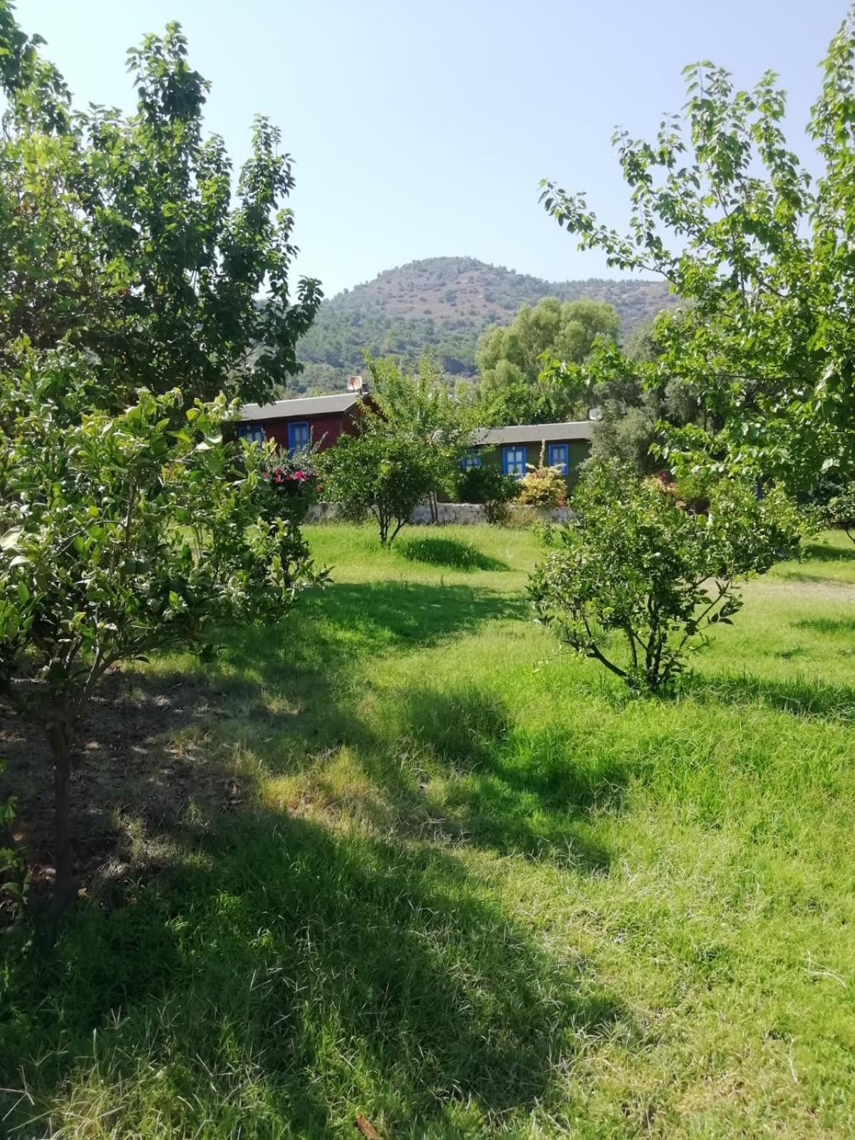 Bahar Bahce Datca 27/39
