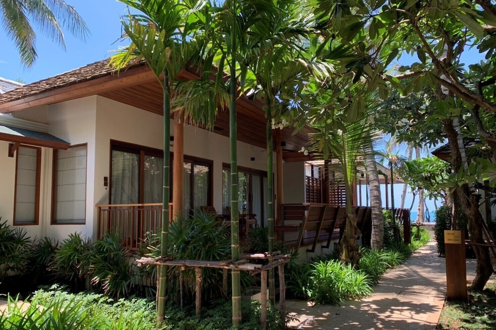 Banana Fan Sea Samui 6/74