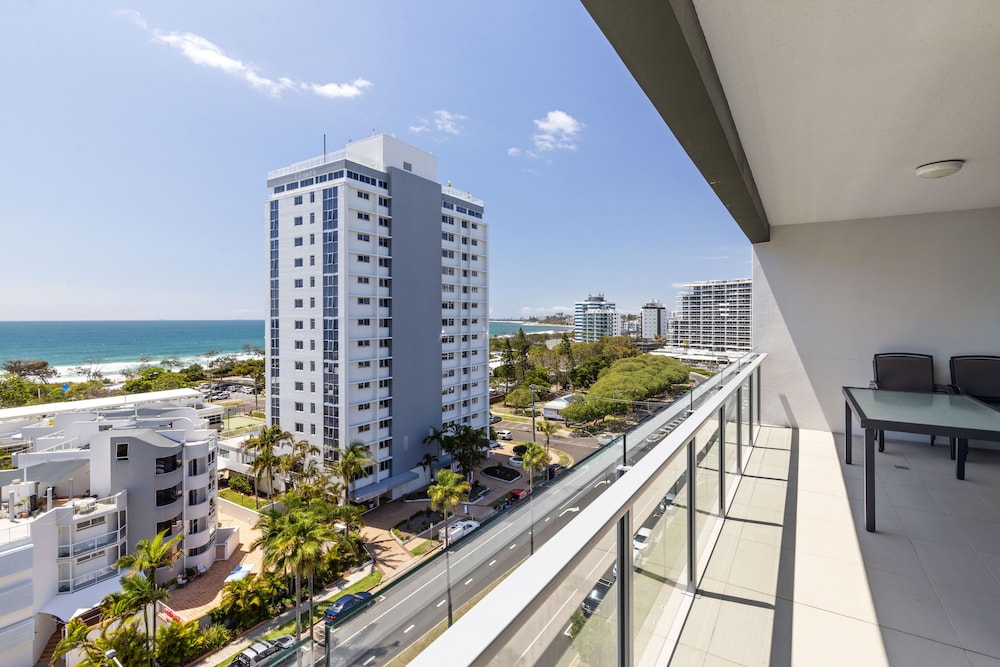 Verve On Cotton Tree 7/50