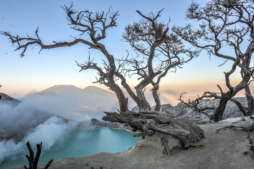 Ijen Resort 53/65