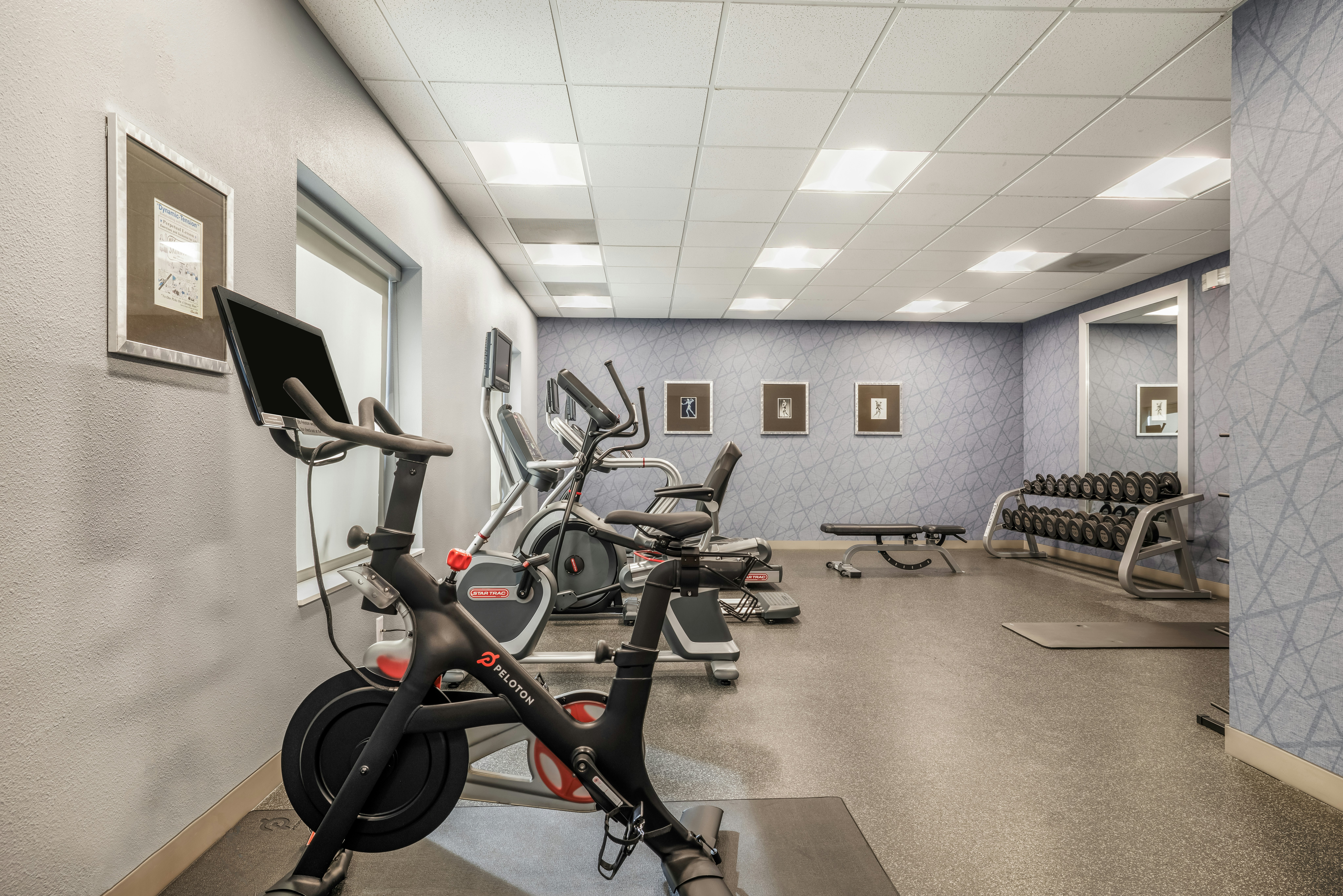 Homewood Suites by Hilton Dallas-Frisco 11/32
