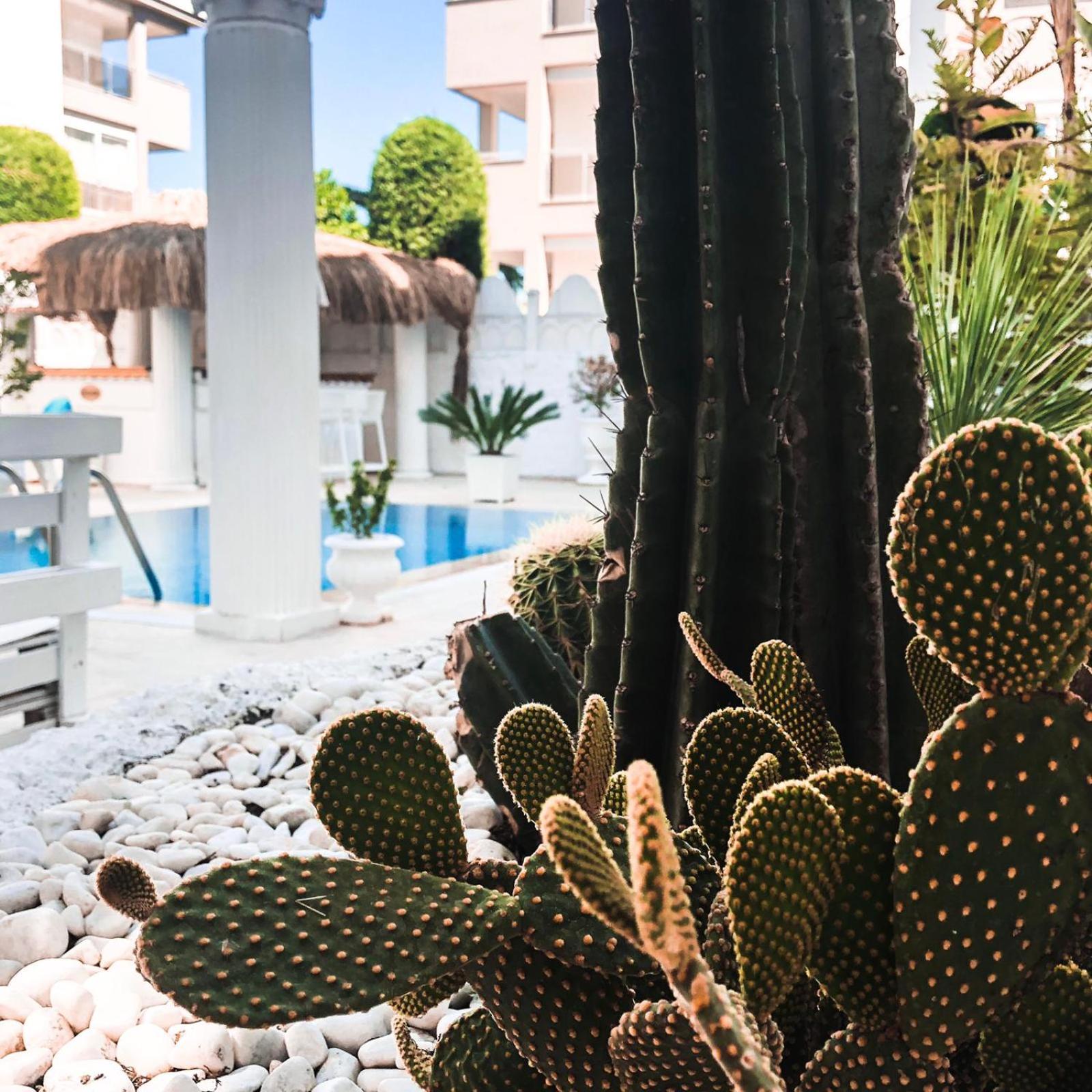 Connys Boutique Hotel - Adults Only 53/66