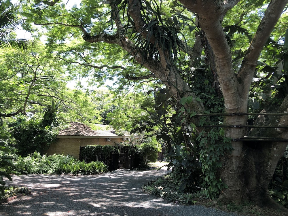 Ingwenya Lodge 44/50