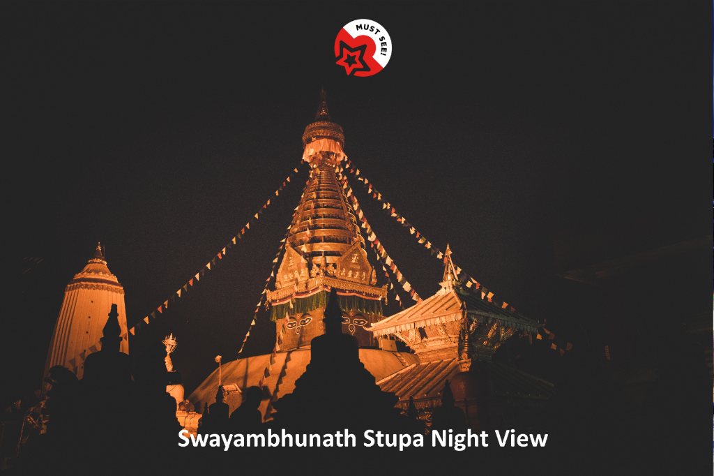 Hotel Pashupati Plaza 3/46