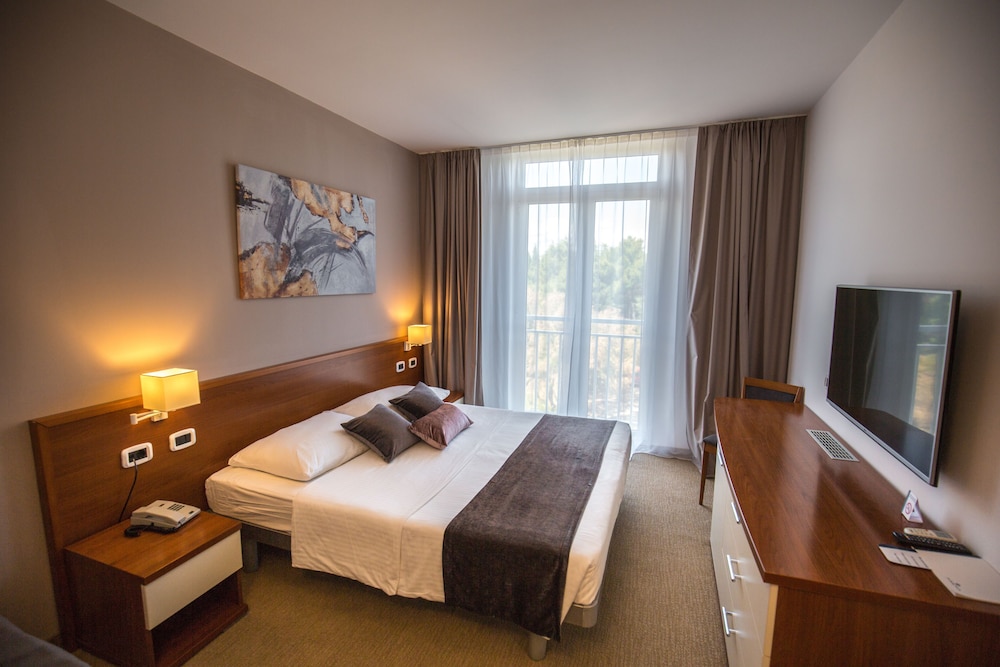 Arena Hotel Holiday 8/50